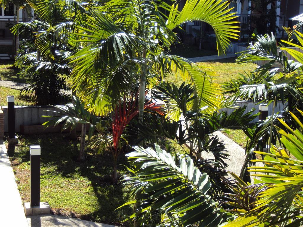 Hotel Colibri Koné Dış mekan fotoğraf